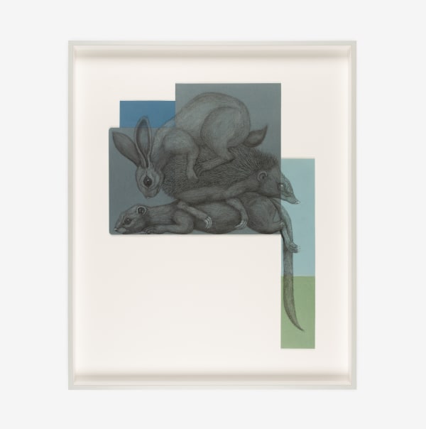 ROA, COMPOSITION: SYLVILAGUS, ERINACEINAE, MUSTELA, 2021