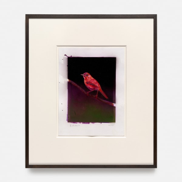 Benjamin Moravec, Untitled, 2023