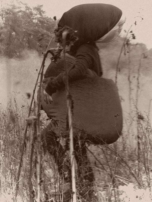 Paul Kooiker, Untitled (Michele), 2024