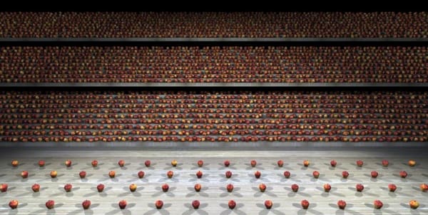 Koen Theys, Stilleven met Appels III, 2010