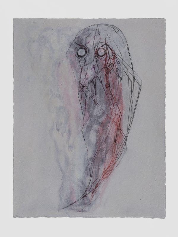 Cameron Jamie, Shadow Drift, 2024