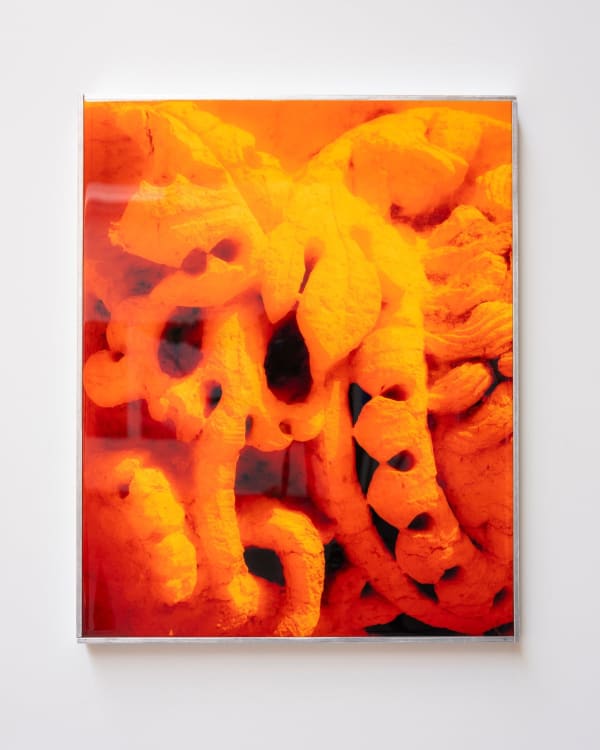 Sybren Vanoverberghe, Untitled, 2024