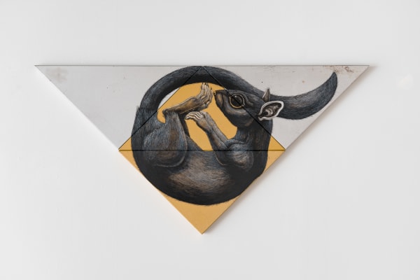 ROA, MYOXUS GLIS (Dormmouse - Zevenslaper), 2023