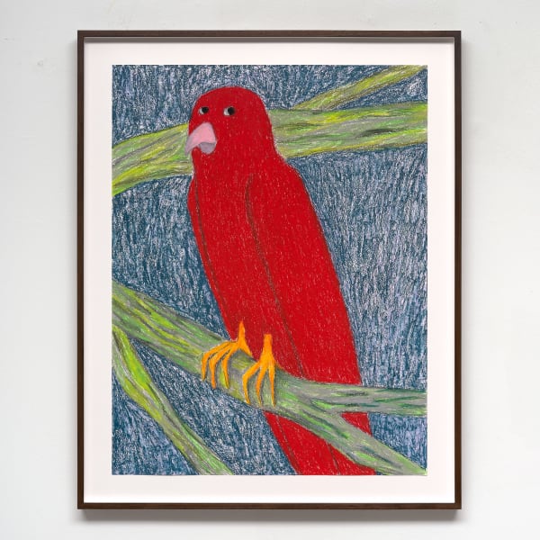 Valgerður Sigurðardóttir, Parrot series, 2023