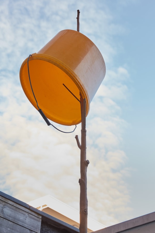 Lois Weinberger, Tree Sculpture, 2010