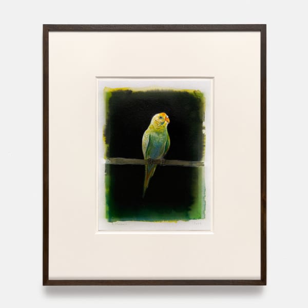 Benjamin Moravec, Untitled, 2023