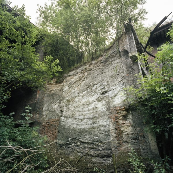 Luc Deleu & T.O.P. office, Neo-Nature A1, 2022