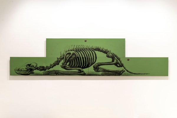 ROA, NAYA | Wolf, 2019