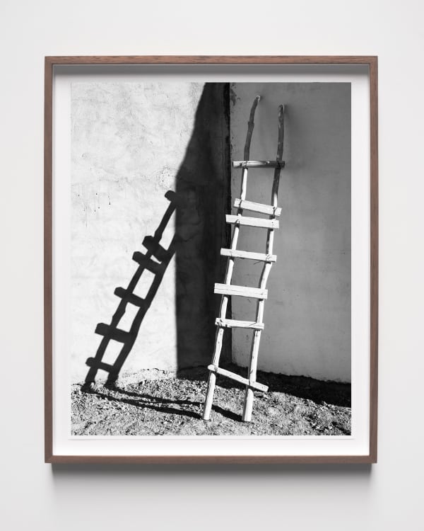 Sybren Vanoverberghe, Ladder, 2023