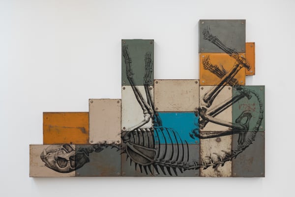 ROA, LYNX LYNX SKELETON (Eurasian Lynx - Euraziatische Lynx), 2023