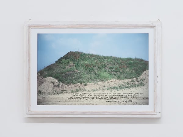 Lois Weinberger, Seeding Poppy, Acquired Areas, 1993