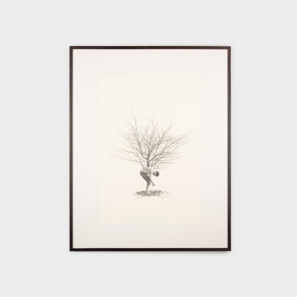 Fabien Mérelle, L' Arbre du Champs, 2021