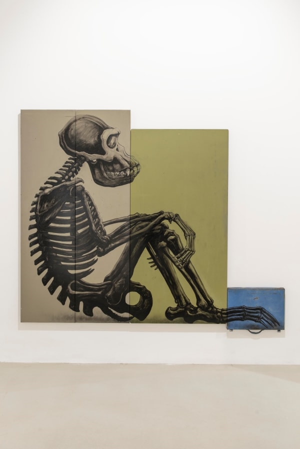 ROA, PAN TROGLODYTES | Chimpanzee, 2019