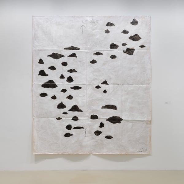 Lois Weinberger, Dublin, 2013