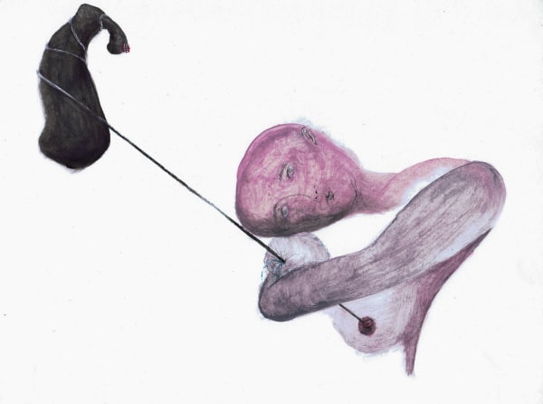 Clara Spilliaert, Untitled, 2016