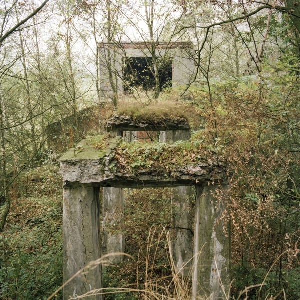 Luc Deleu & T.O.P. office, Neo-Nature J1, 2022