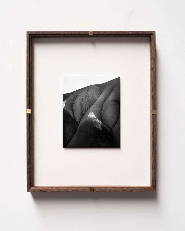 Sybren Vanoverberghe, From the series Conference of the Birds - Mountain 01, 2019