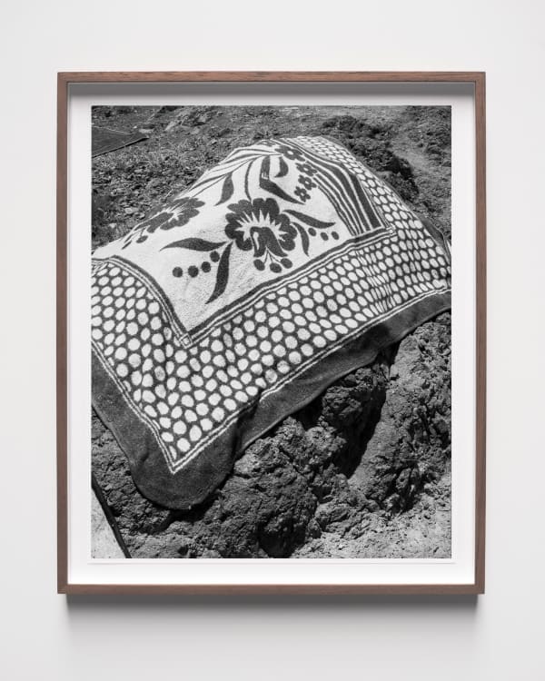 Sybren Vanoverberghe, Carpet, 2023