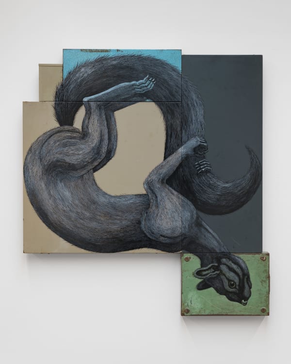 ROA, SCIURUS CAROLINENSIS MMXXIII (Eastern Great Squirrel 2023 - Grijze Eekhoorn), 2023