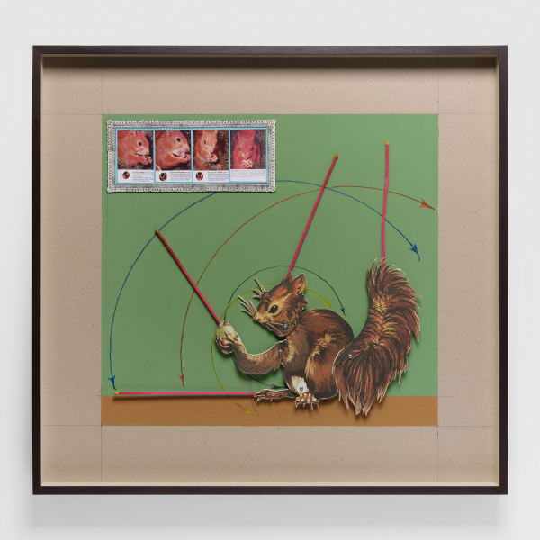 Patrick Van Caeckenbergh, De Notenkraker - Oud geleerd is jong gedaan, 2024