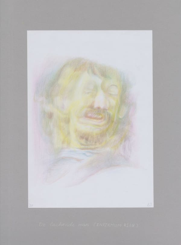 Elly Strik, De lachende man (INFIRMUM RISU), 2023
