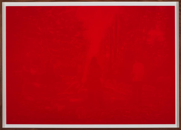 Paul Nugent, Gathering (Red), 2024