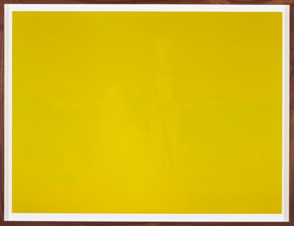 Paul Nugent, Illumination No.1, 2024