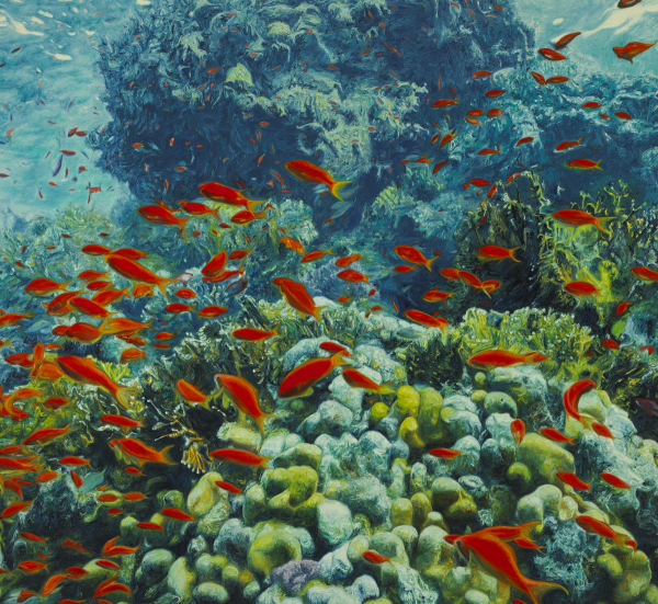 Paul McKinley, Lolanda Reef, 2015