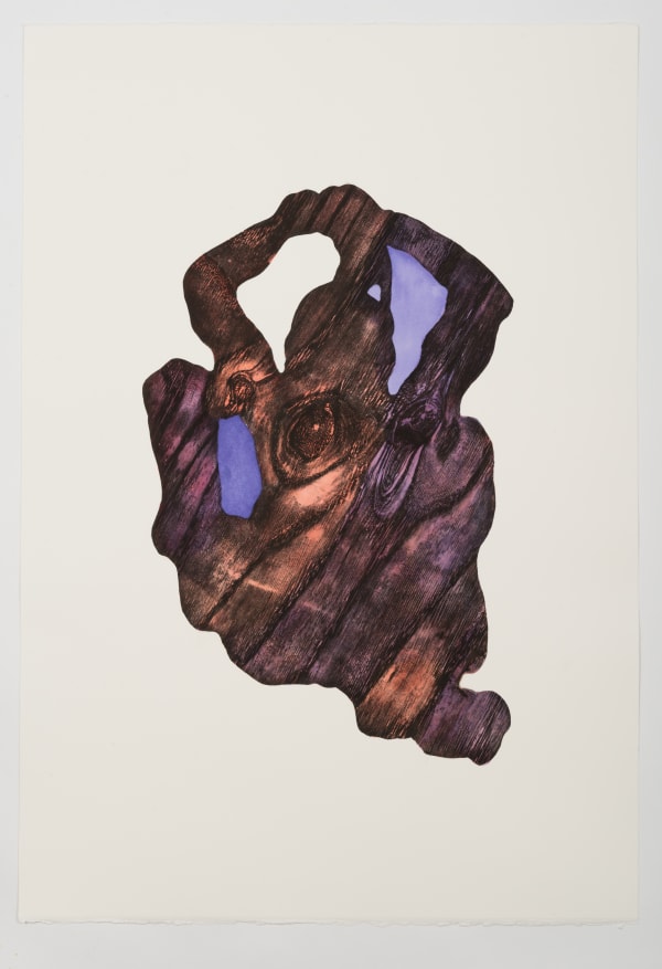 Alice Maher, Vox Hybrida 4, 2018