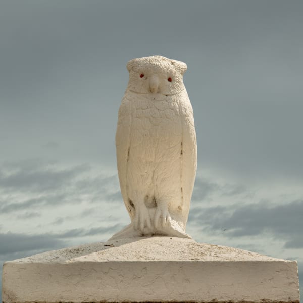 Michael Boran, ‘Owl Gateway 1 - Killester’,, 2023