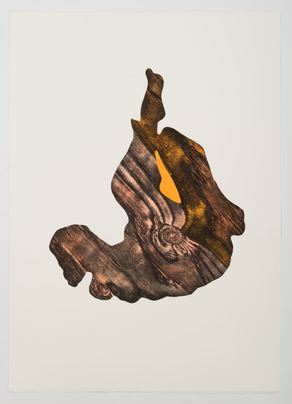 Alice Maher, Vox Hybrida 7, 2018