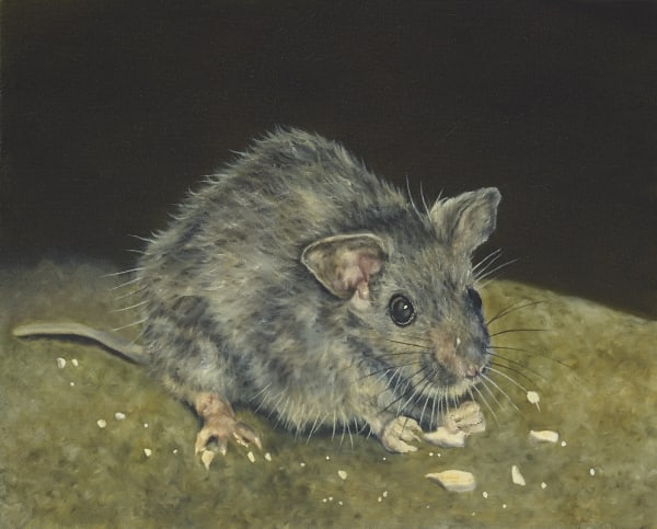 Dermot Seymour, Large Monaghan Mouse, 2014