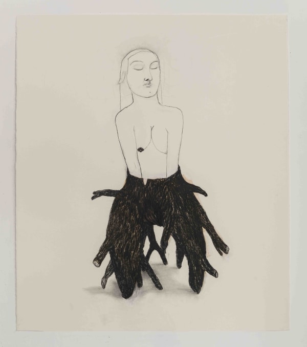 Alice Maher, Dryad, 2016