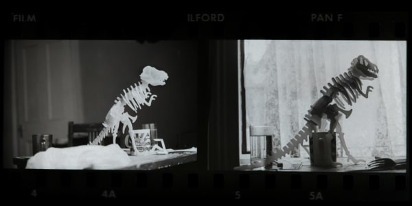 Michael Boran, When Dinosaurs Roamed, 2023