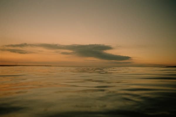 Gary Coyle, Lovely Water No.2, Swim No 4537, 17/06/2014, , 2015