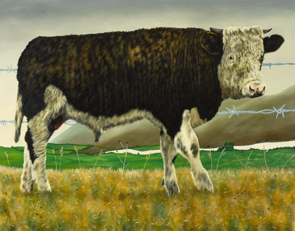 Dermot Seymour, at the covid border wire, 2020