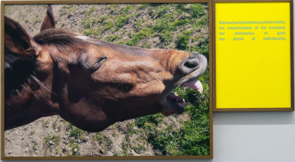 Elaine Byrne, The houyhnhnms 5, 2025