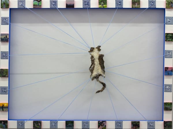 Emily Miller, I don’t know if there is a dark side to nature, just inventive ways to endure, against all odds”; After Delia Owen’s “Where the Crawdads Sing” and Reece Witherspoon’s 2022 movie adaptation , 2023