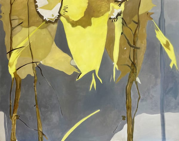 Sonia Shiel, A place for birds, 2022