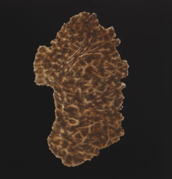 Nevan Lahart, Hi-Fibre Asteroid in the Shape of Ireland, 2016