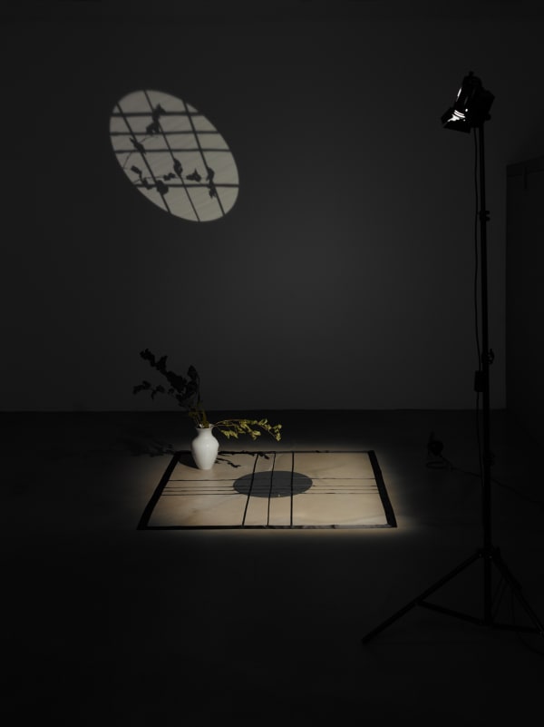 Ulrich Vogl, Window Pasolini, 2014