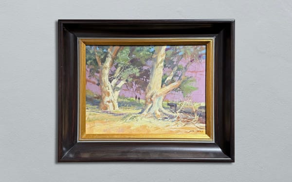 Jane Wallis, JANE WALLIS CANYON TERRITORY