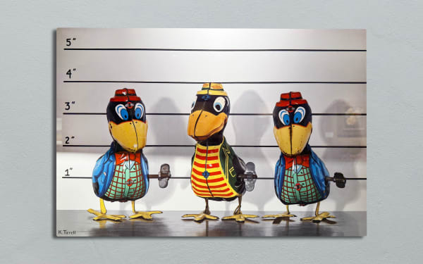 Kari Tirrell, KARI TIRRELL ATTEMPTED MURDER