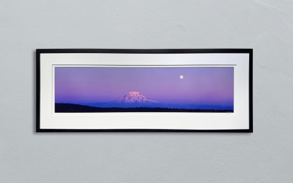 JOE BOYLE, FALL RISING