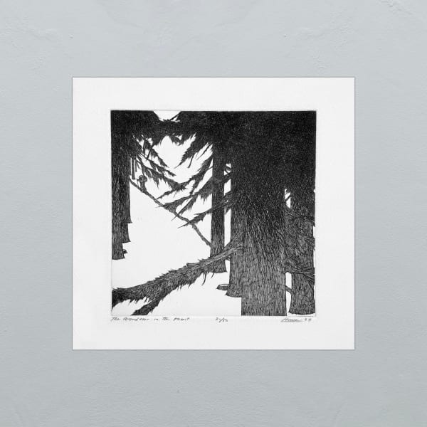 Art Hansen, The wanderer in the Forest - 73 - 30/50