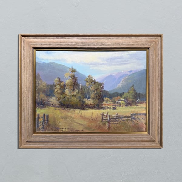 Jane Wallis, FENCED FARMLAND