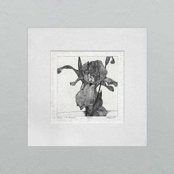 Art Hansen, IRISES A PORTRAIT, 75 APVI, 1