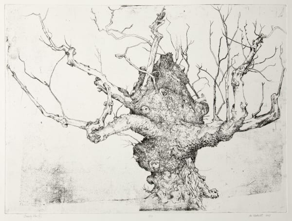 IAN WESTACOTT | Beauly Elm and Birnham Oak