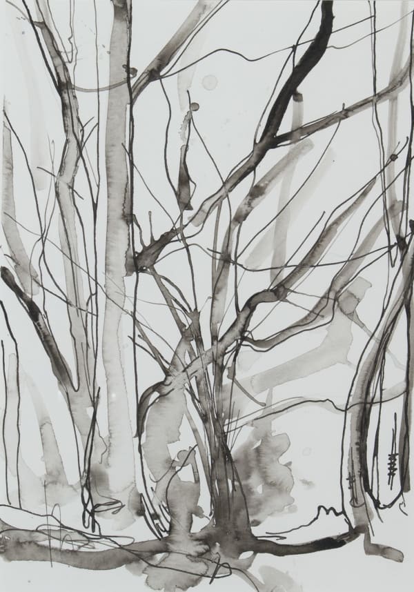 Lizzie Rose Growth ii, 2022 ink on paper 28.5cm x 20cm (47cm x 37.5cm framed)