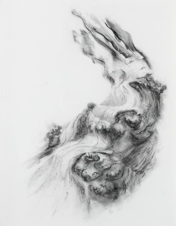 Tansy Lee Moir Rapids, 2020 charcoal on paper 65cm x 50cm (77cm x 62cm framed)